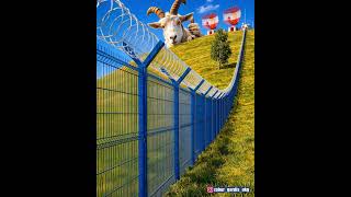 3д забор+Егоза