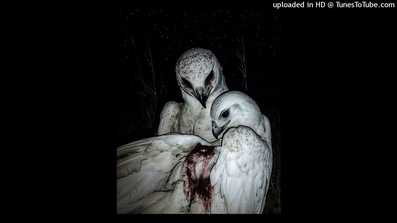 🌊Surf x New Jazz x Talinwya x Lthelizard Type Beat - "beer" | ‪‪‪‪‪@prodsnx01‬