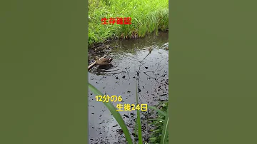 June 13 2025 