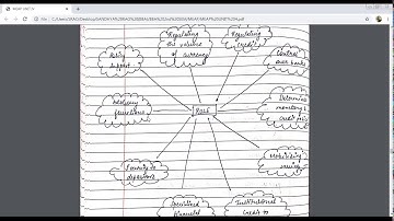 SAITM BBA SEM II MACRO ECONOMICS ANALYSIS AND POLICY UNIT 4 LECTURE 18