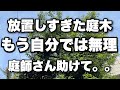 荒れた庭隠してました。2階まで伸びた庭木。一人ではもう伐採できない。。