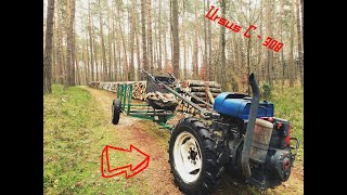 Zrywka drewna ursusem c 308/ Samowyrób opału czyli DZIK w swoim żywiole