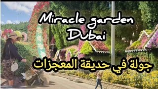 حديقة الزهور دبي /miracle garden 2023 dubai miracle 