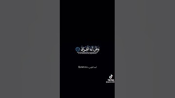 (كَلَّا إِذَا بَلَغَتِ التَّرَاقِيَ ) بصوت القارئ / أحمد النفيس