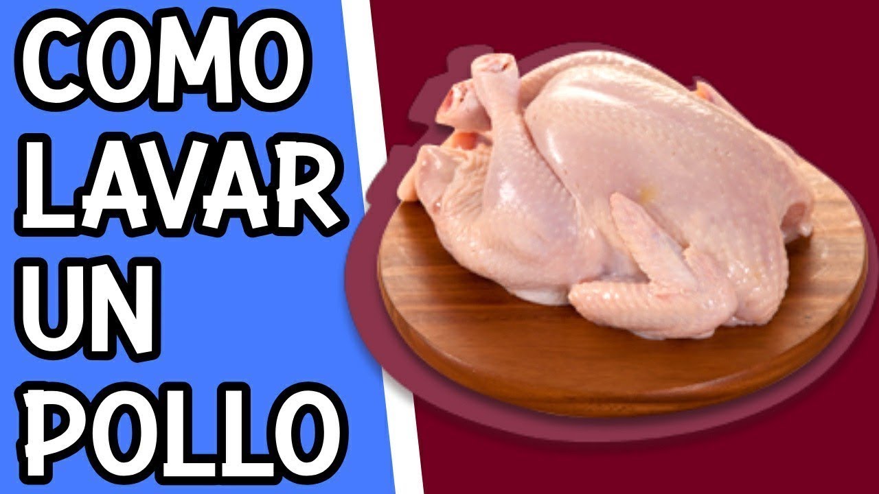 Cuanto Tiempo Demora Una Gallina En Sacar Pollitos