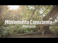 Mix Selva Cocles/CHILL-RELAX/MOVIMIENTO CONSCIENTE musica