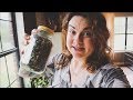 Making Lemon Balm Syrup and Sowing Willy Nilly | VLOG | Roots and Refuge Farm