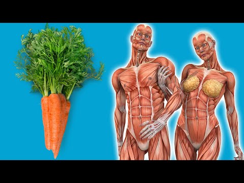 Video: Was ist in Karotten enth alten?