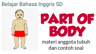 Part of Body | Belajar Bahasa Inggris SD anggota tubuh dan contoh soal