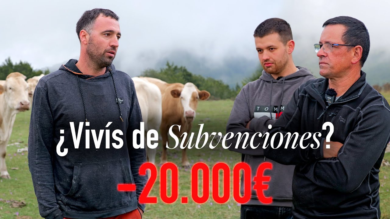 🔥Criar Vacas es Rentable ¿Es un Negocio de Futuro? | Ganadería Extensiva