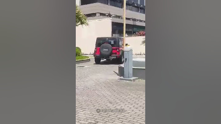 LEILA PEREIRA CHEGA COM CARRO DO FLAMENGO NA CBF