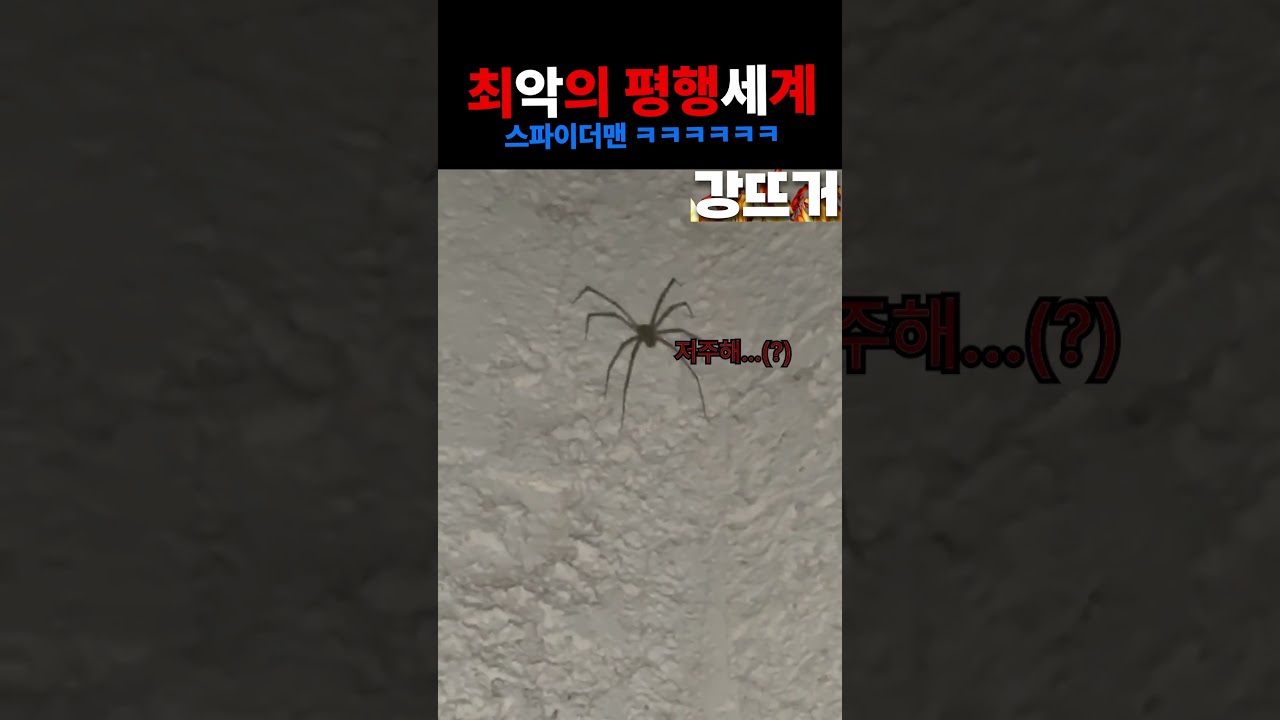 현존하는 경우의 수 중 최악