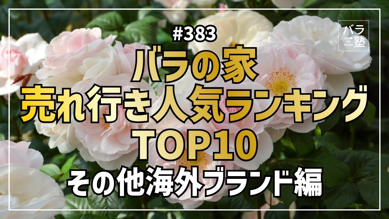 383 Rose House Best Selling Top 10 Other International Brands 
