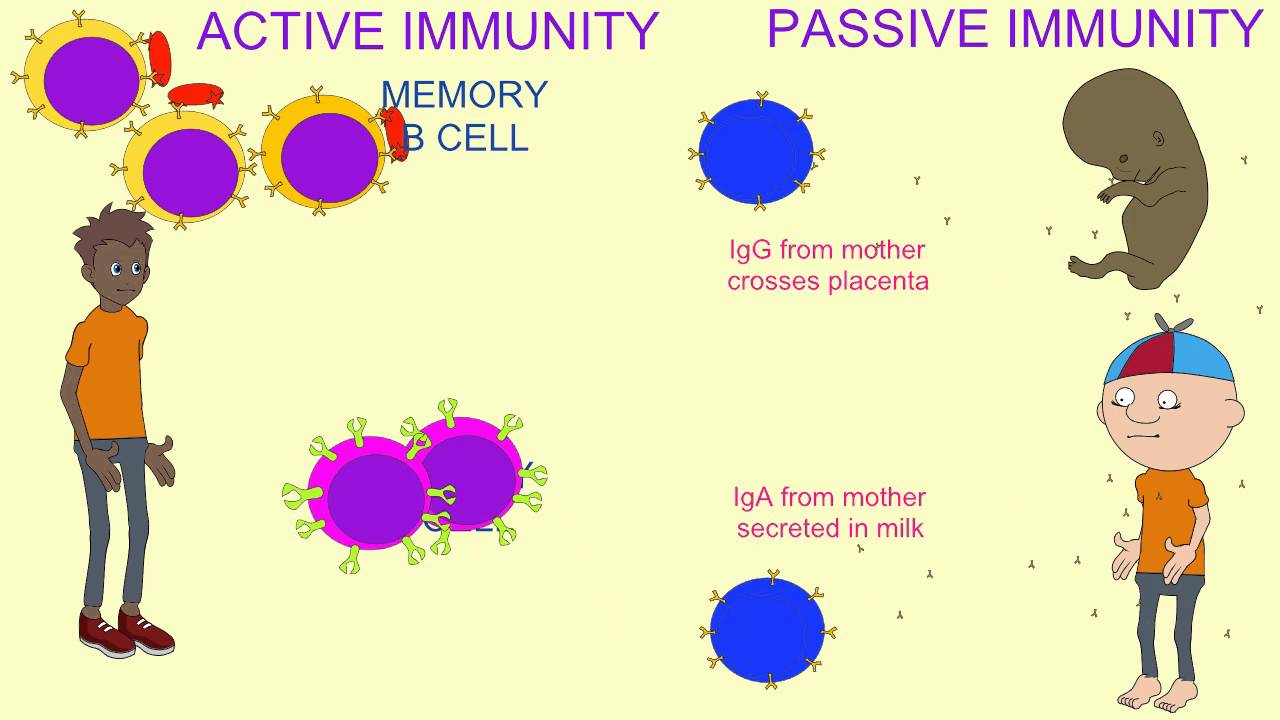 How Vulnerable Is Your Immune System?