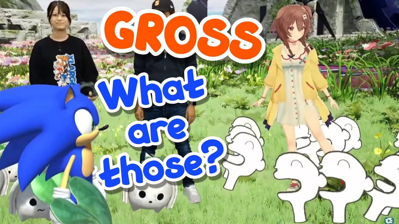 Korone Gets Disgusted When Sonic Unleashes a Horde of Koronesuki [Hololive]