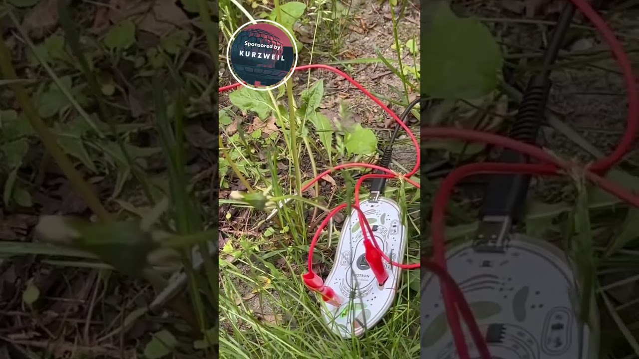 The Gear Girl checks out the Biotron MIDI controller at Superbooth 