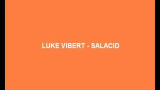 Luke Vibert - Salacid