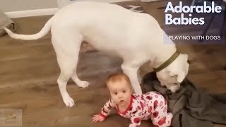 Adorable Babies Playing with Dogs and Cats  🐶🐱- Part1