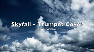Skyfall - Trumpet Cover - Shuki Wolfus