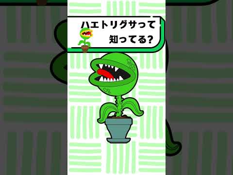 ハエトリグサって知ってる？#都音ゆずたみ #雑学 #豆知識