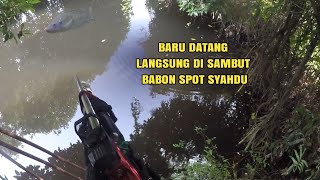 Hunting di spot rahasia yang sangat syahdu poin banyak(PASER IKAN NILA)