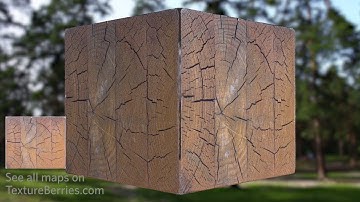 📸 Timber end - 05, TEXTURE for 3Ds Max, Unreal Engine, Unity (transparency)