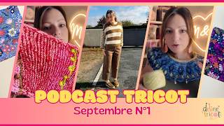 Podcast Tricot Septembre N01 Un Waldo Terminé Et 2 Nouveaux Tricots Une Imitation