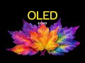 Ultimate OLED Demo – Infinite Contrast HDR 4K Dolby Vision
