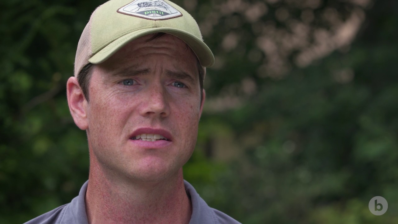 Forgotten But Not Gone: The Rusty Patched Bumble Bee | bioGraphic