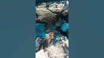 sample damask material available#shots #viwes #vairal #trading #like #wedding #fashon #youtubeshorts