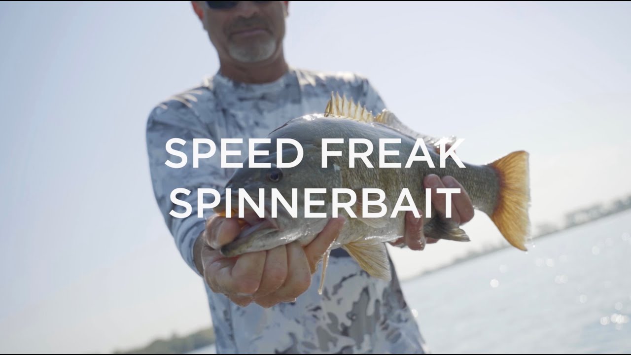 Burning Spinnerbaits for Northern Smallmouth Speed Freak Spinnerbait