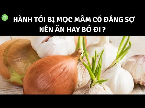 Video: Deer Resistance Edibles - Có Trái Cây Và Rau Quả Hươu Không Ăn