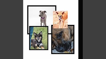 Pulsating Ambience for Cool Pups