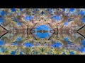 Button Fields-Hole in your spacesuit