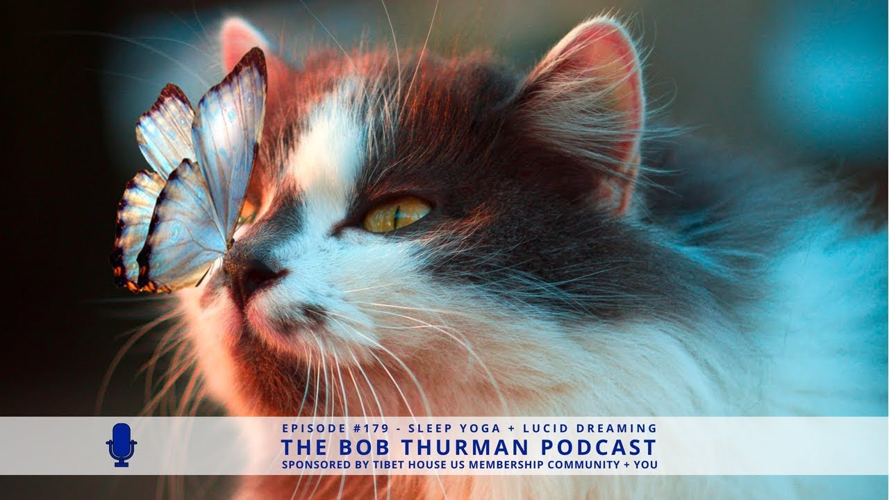 dalai lama age What is Dream Yoga + How Does Lucid Dreaming Work? Buddhism Explained : Robert A.F. Thurman