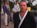 Magnum PI's John Hillerman shills macademia nuts with karate.