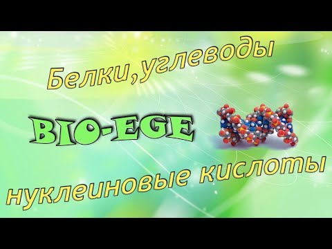 Bio-ege | Урок №3 Белки, липиды. углеводы. нуклеиновые кислоты готовимся к ЕГЭ биология