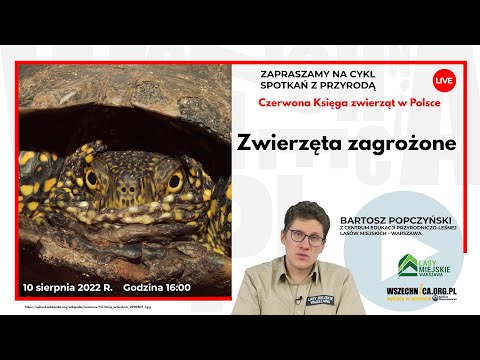 Wideo: Zwierzęta wymienione w Czerwonej Księdze regionu Rostowa. Rosyjski piżmak. uszaty jeż