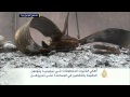 أهالي المخطتفات بنيجيريـا يتهمون الحكومة