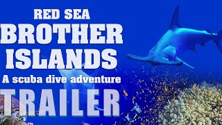 Download Lagu RED SEA: BROTHER ISLANDS – A SCUBA DIVE ADVENTURE Official Trailer (2024) Documentary MP3