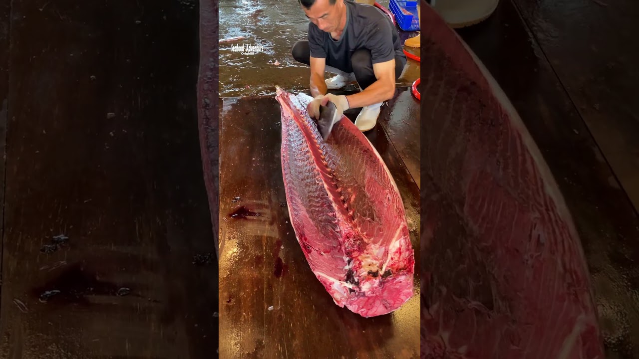 Precision cut akami from giant bluefin tuna with zero waste 