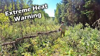 Clearing Miles of Trail in a Heat Wave
