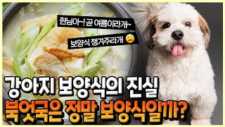 강아지 보양식? 정말 보양식일까?