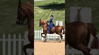 Forever Mourning This Past Season But Im Glad Elroy Is Thriving In This New Chapter Of His Life