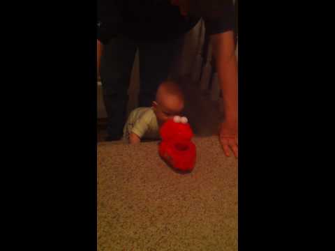 IMG 00831