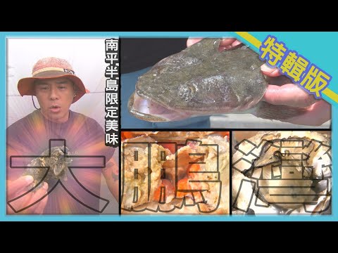 《台灣第一等》【大鵬灣野生牡蠣 不規則最美味  潟湖養份多 養出肥美小牛尾  夏天抓蟹苗 午仔魚池清道夫】電視特輯版
