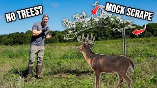 The T-Post Mock Scrape Trick Every Deer Hunter Should Know