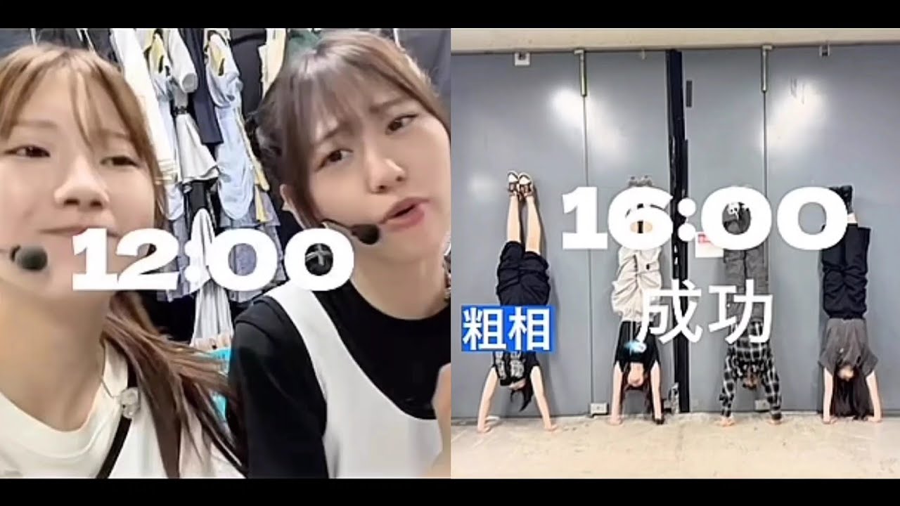 櫻坂46 向井純葉 ARENA TOUR 2026 20種コンプ 生写真 櫻坂