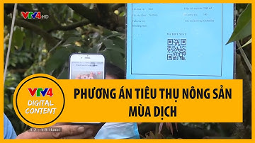 Phương án tiêu thụ nông sản mùa dịch | VTV4