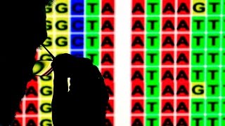 Practical Importance of Human Evolution - Persistence of Genetic Diseases